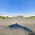 Loose dog running in and out of roadway
