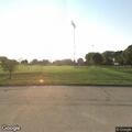 People walking dogs off leash in park