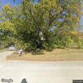 Tree partially blocking road on 290th Street