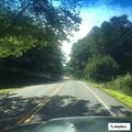 Traffic stop on York Woods Road