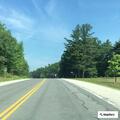 Deer struck by vehicle on Route 114 near town line