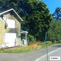 Possible intoxicated person driving on Lake Road near Hamilton St