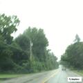 Tree blocking road at School Street and Yankee Lane