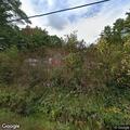 Tree brings down power lines on Flamstead Road