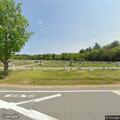 Dog running in and out of traffic near cemetery