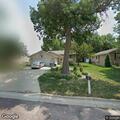 Loose dogs reported near North Cedar address