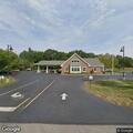 Injured raccoon on Route 11 near credit union