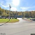 Injured fawn euthanized near Route 11 restaurant
