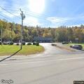 Loose beagle dog near Route 11 in Sunapee