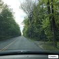 Tree on power lines blocks Seamans Road in New London