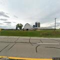 Cows blocking roadway on Highway 33 in Allenton