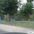 Welfare check on stranded driver at rest area