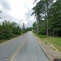 Sheep walking in roadway on Back Rd