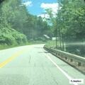 Tree down on wires blocks Route 100 in Plymouth
