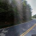 Tree blocking Smith River Road in Danbury
