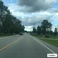 Car hits deer on New County Road in Dayton