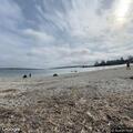 Bonfire disturbance reported on Willard Beach