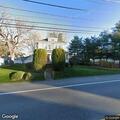 Loose dogs reported near Gray Road in Gorham