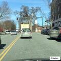 Dog left in parked SUV on Main Street