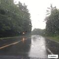 Traffic stop on Route 3 near Ashland line