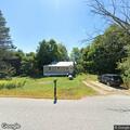 Loose dog walking in roadway on Town House Road