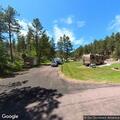 Buffalo herd blocks road near Legion Lake campground