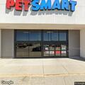 Nude man running in PetSmart parking lot