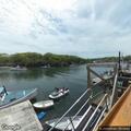 Allergic reaction to tree nuts on boat near Shaw's Wharf