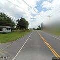 Tractor trailer hits cows on state route