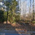 Small tree on wires reported on Webbs Mills Road