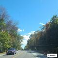 Erratic red car reported on Route 302 near Naples