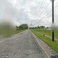 Dead animal in roadway on Airport Road