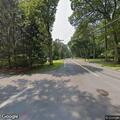 Low wires over road after tree strikes lines