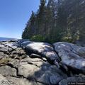 Trespassing complaint at Birch Point State Park