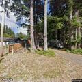 Possible illegal burn on Sutton Lake Drive