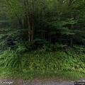 Tree blocking roadway on Wild Ammonoosuc Road