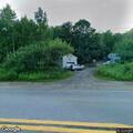Deer blocking roadway on Waldoboro Road