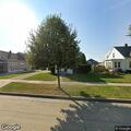Loose dog reported on South Walnut Street