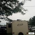 Traffic stop for possible stolen vehicle