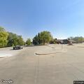 Loose dog in roadway near City Park