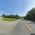 Loose stray dog on Route 202 near Royal Street