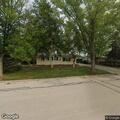 Loose dogs running near school on School Street