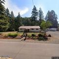Injured dog struck by vehicle on Alsea-Deadwood Hwy