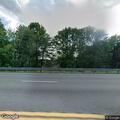 Loose dog reported on Route 3 in Palermo