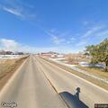 Loose dogs reported on East Colorado Boulevard