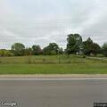 Deer dispatched on Highway 49 in Iola