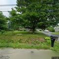 Loose dog walking in roadway on Middle Road