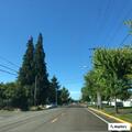 False medical alarm at public bathroom in Lebanon, Oregon