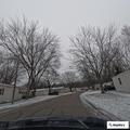 36-year-old male seizing from alcohol withdrawal in park