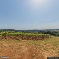Fire alarm at Willamette Valley Vineyards